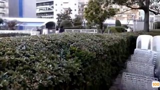 青青精品视频国产乱人